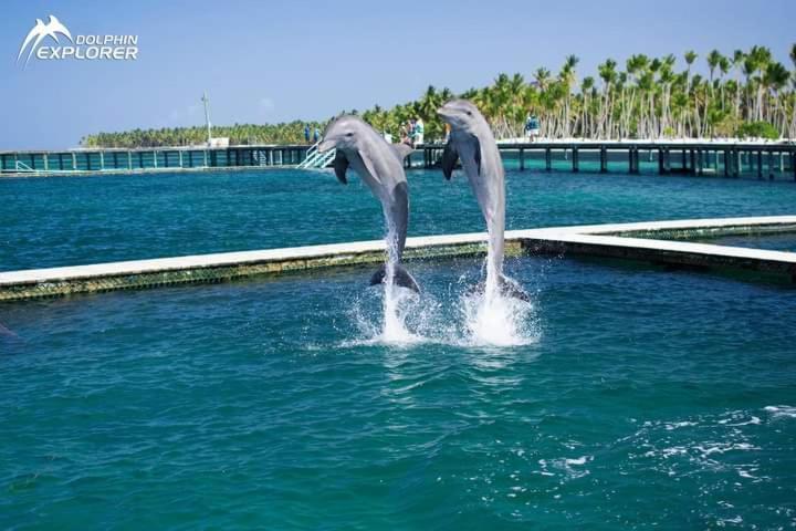 Punta Cana Sol Caribe Beach Pool Exterior foto